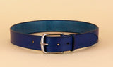 variant-color-blue-silver